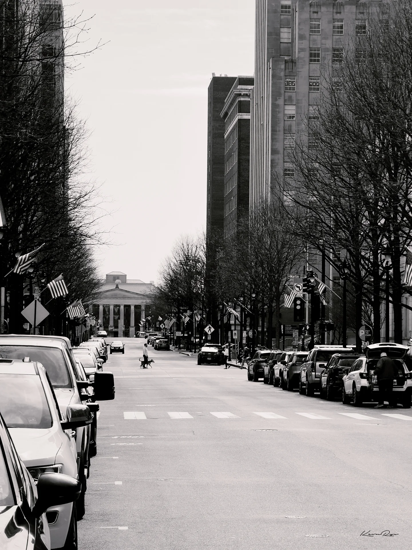 A black-and-white street lined with parked cars, flags plus bare trees, leading to a columned building