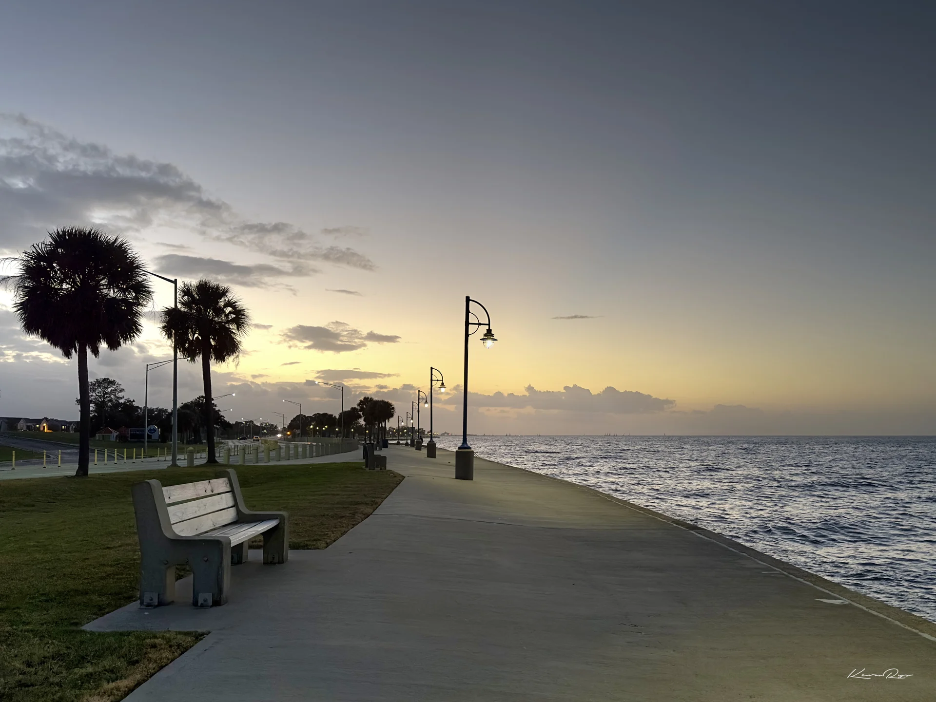 A concrete walkway curves along the water at dusk, with a bench, lampposts plus palm trees