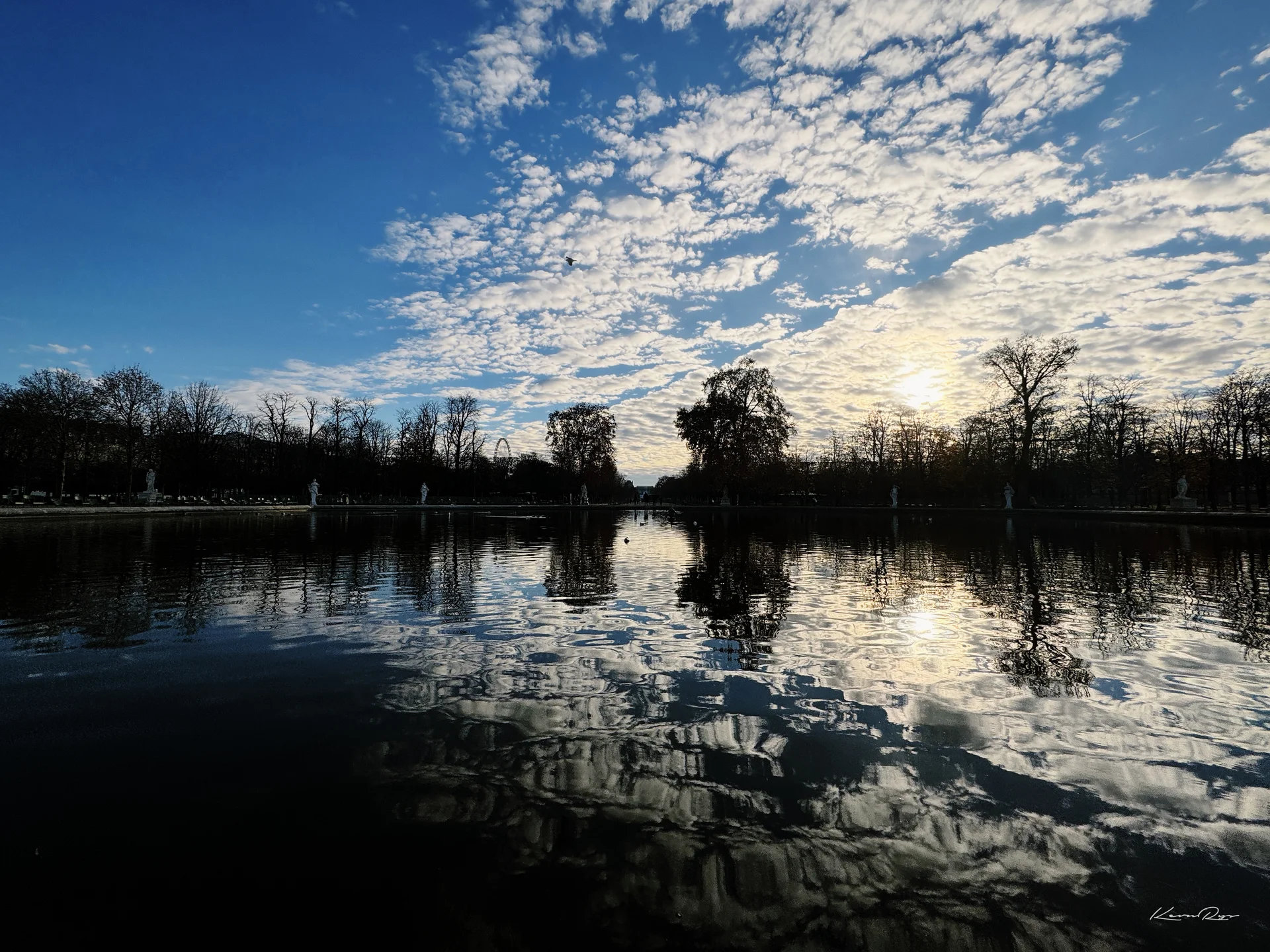 A dark pond mirrors patchy white clouds on a blue sky, bare trees in silhouette along the far bank under a low sun